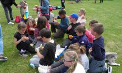 Parcours Du Coeur Scolaire   041